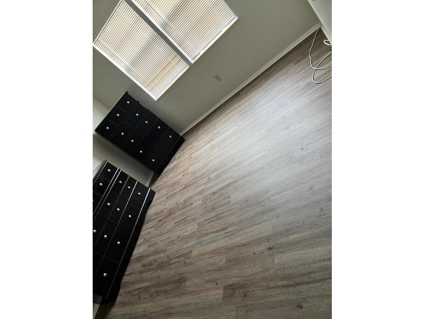 127 Camphor Circle #D Oldsmar FL 34677 TB8522824 image21
