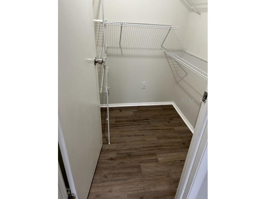 127 Camphor Circle #D Oldsmar FL 34677 TB8522824 image23