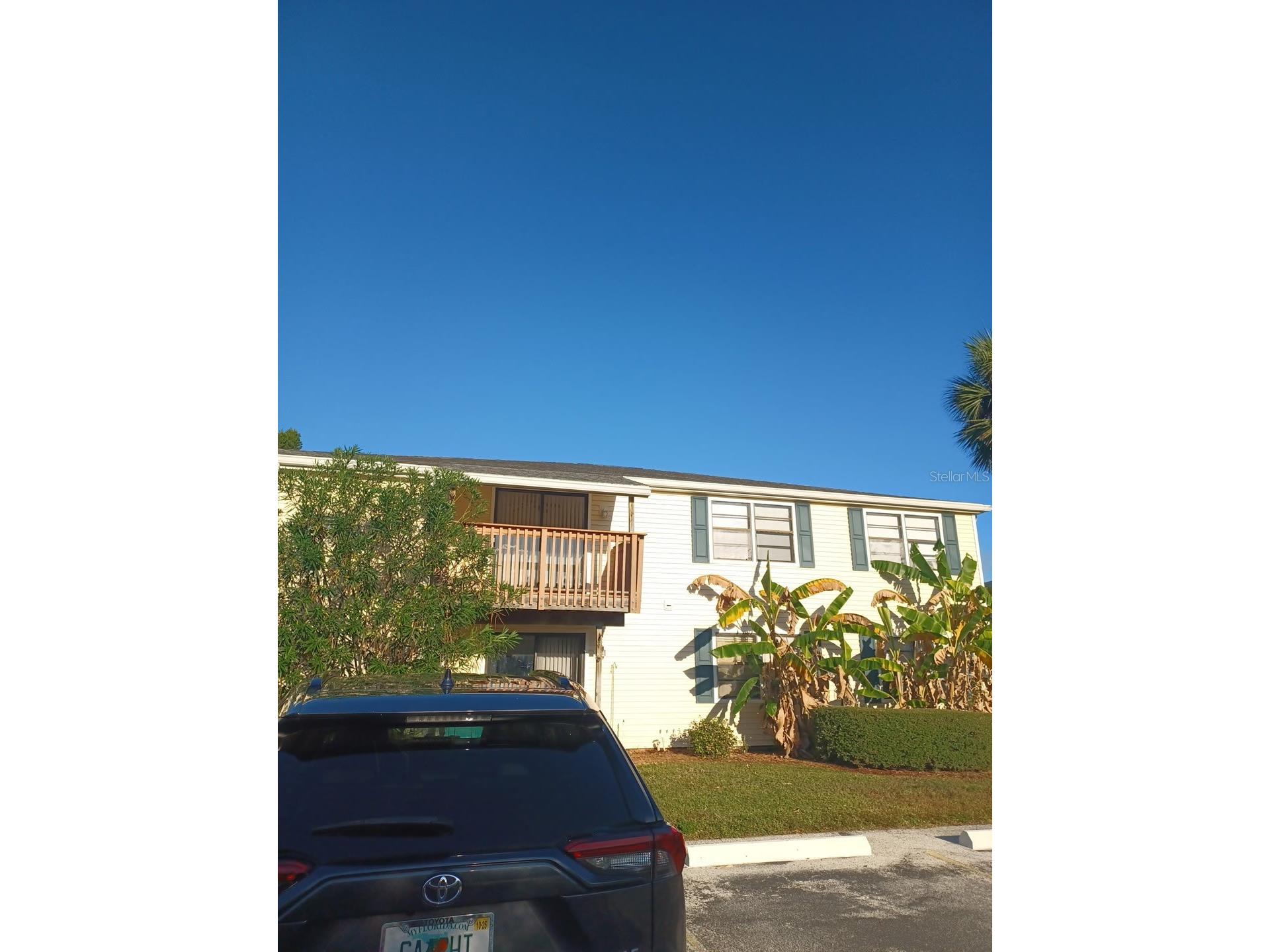 127 Camphor Circle #D Oldsmar FL 34677 TB8522824 image4