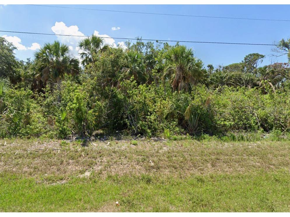 127 Cougar Way Rotonda West FL 33947 D6146481 image6