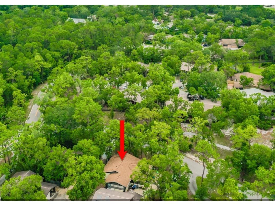 127 Cypress Pond Road Port Orange FL 32128 O6363893 image73