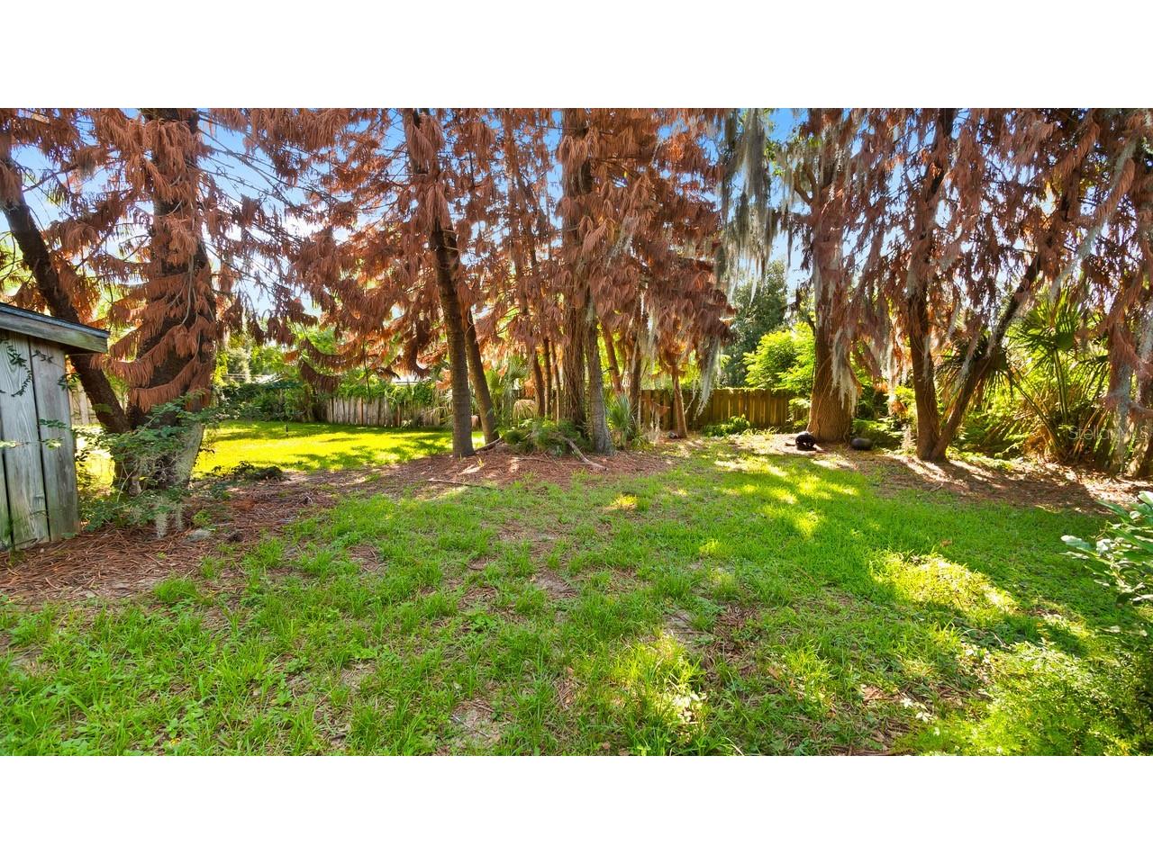 127 E Laurel Avenue Howey In The Hills FL 34737 - LITTLE LAKE HARRIS G5114546 image38