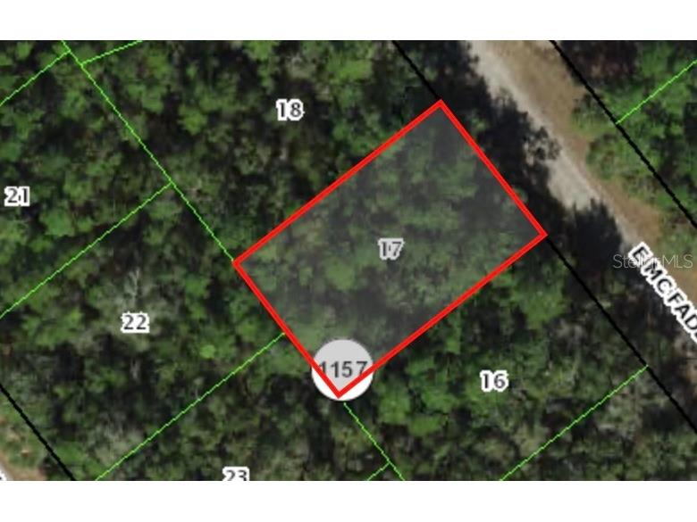 127 E Mcfaddin Place Dunnellon FL 34434 A4613137 image1