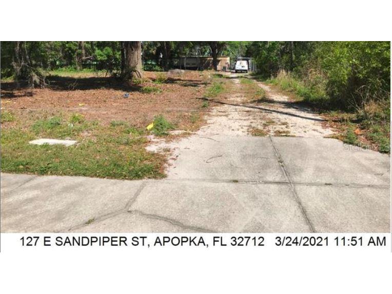 127 E Sandpiper Street Apopka FL 32712 O6260965 image2