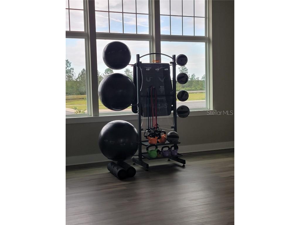 127 Hulett Woods Road Palm Coast FL 32137 O6331194 image28