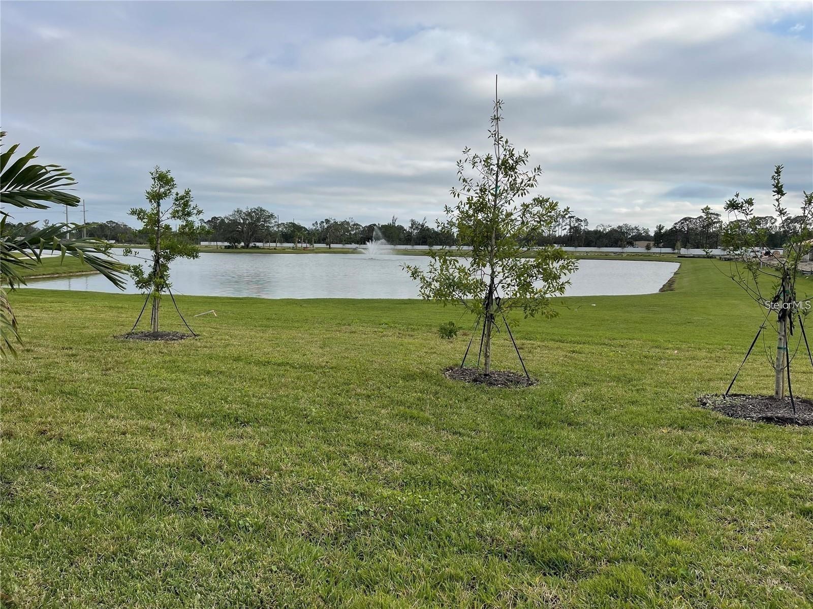 127 Ibiza Loop Venice FL 34292 N6144175 image2