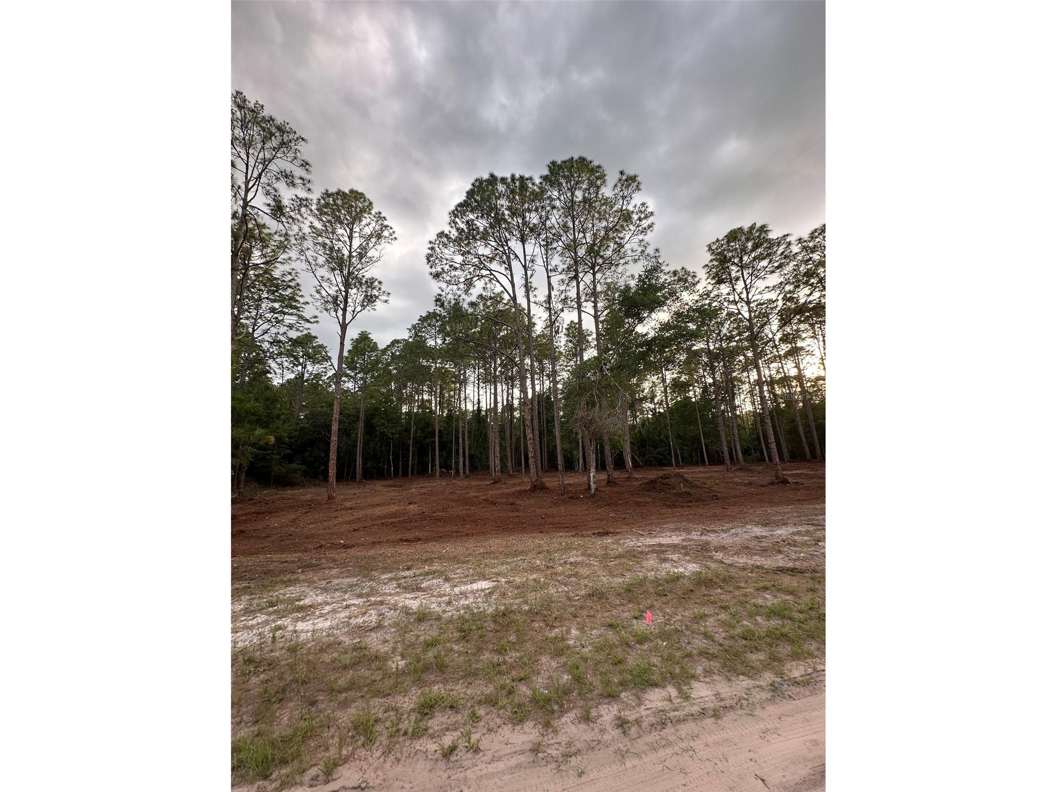 127 Longtree Street Georgetown FL 32139 O6390407 image2