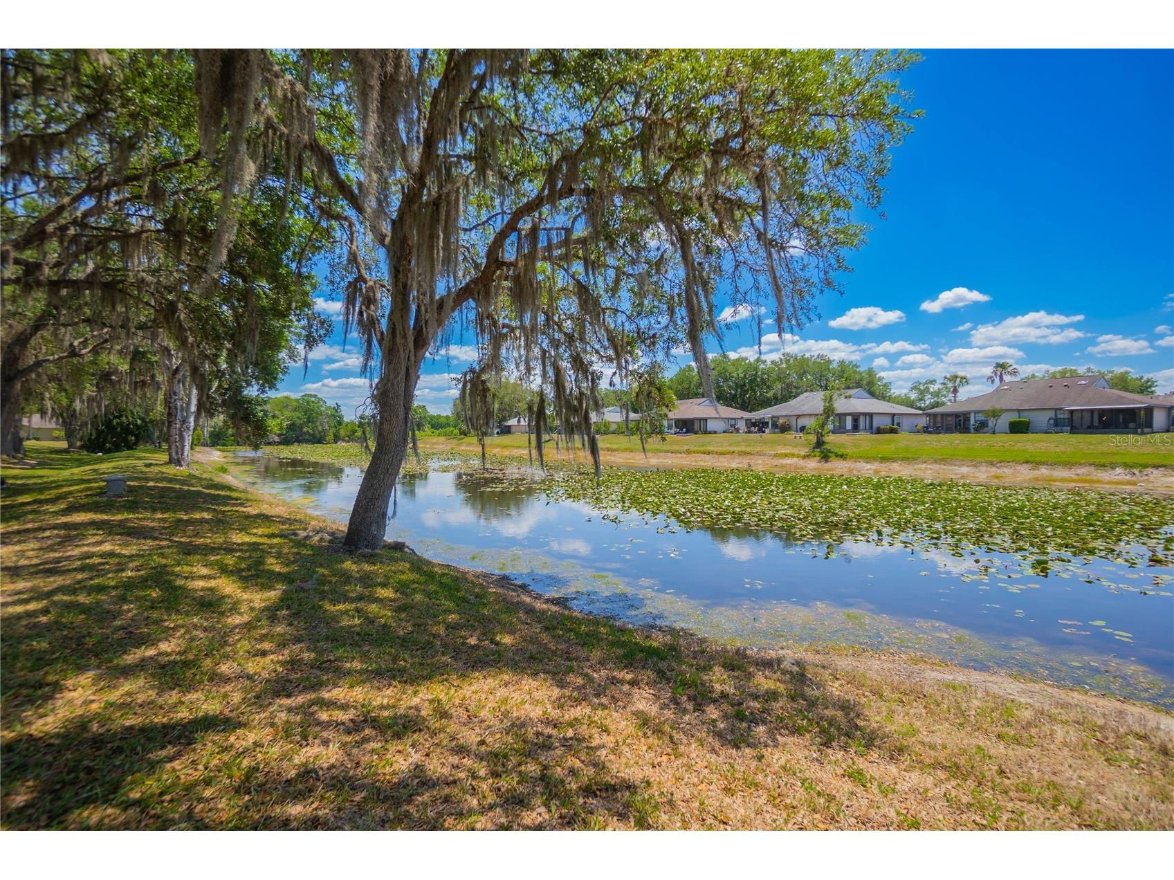 127 N Golf Harbor Path Inverness FL 34450 OM723512 image3