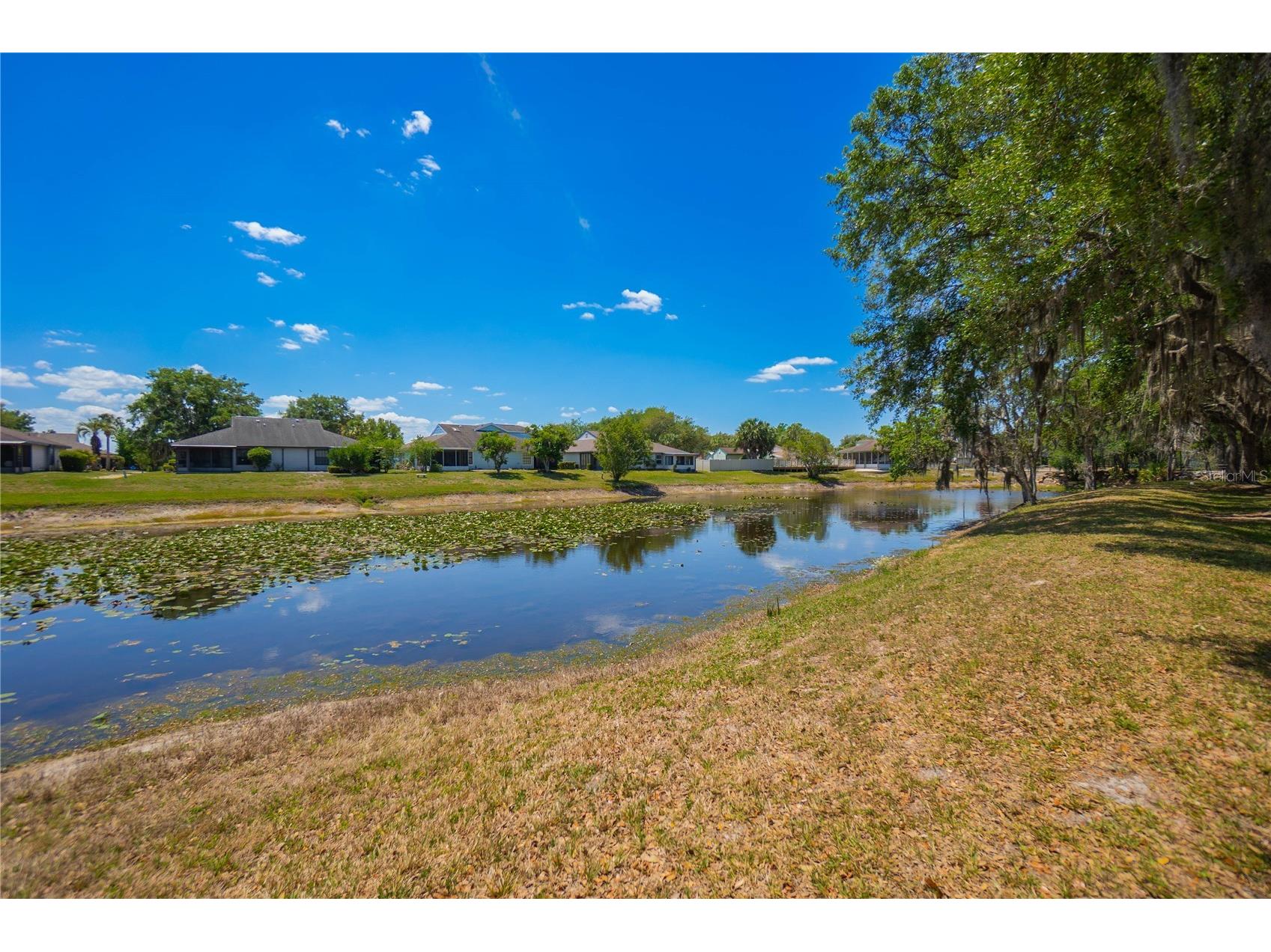 127 N Golf Harbor Path Inverness FL 34450 OM723512 image37