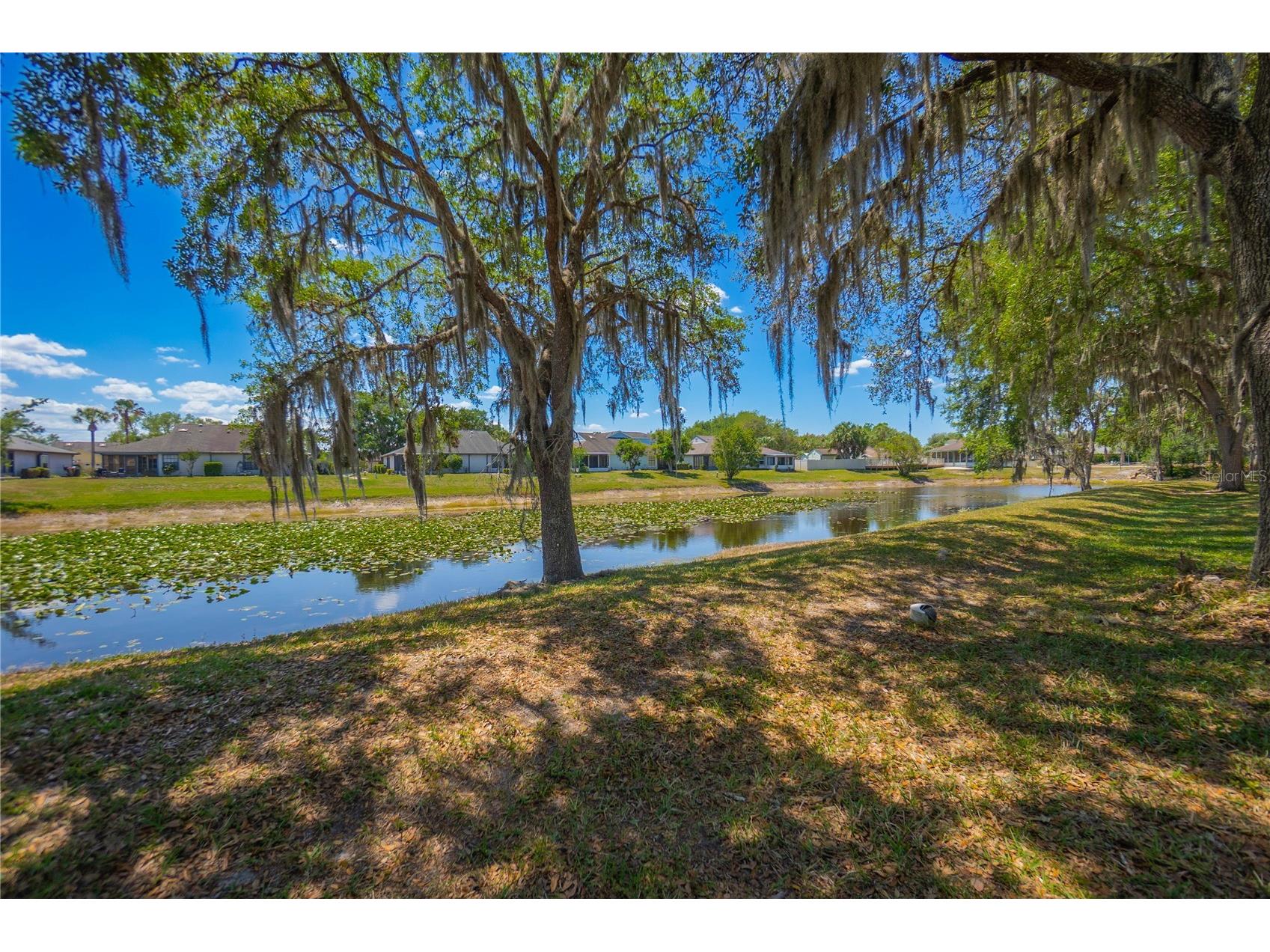 127 N Golf Harbor Path Inverness FL 34450 OM723512 image4