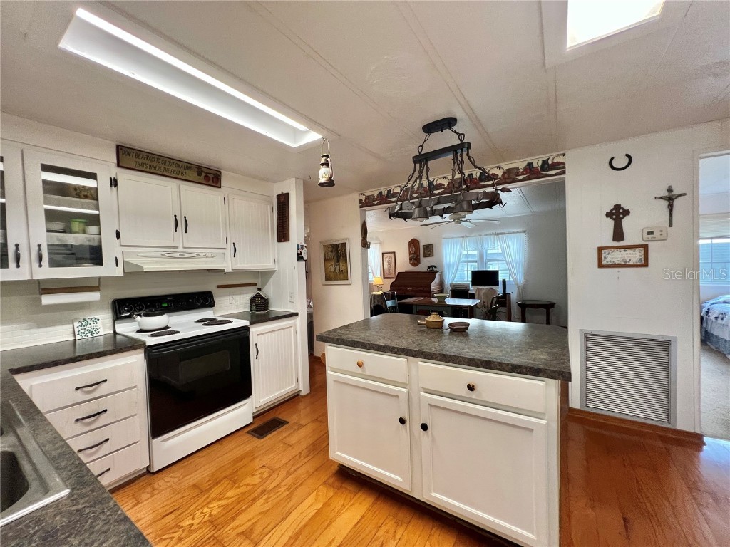 127 Royal Palm Drive Leesburg FL 34748 G5104261 image31