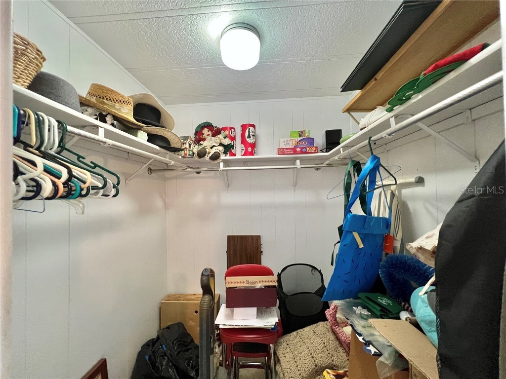 127 Royal Palm Drive Leesburg FL 34748 G5104261 image44