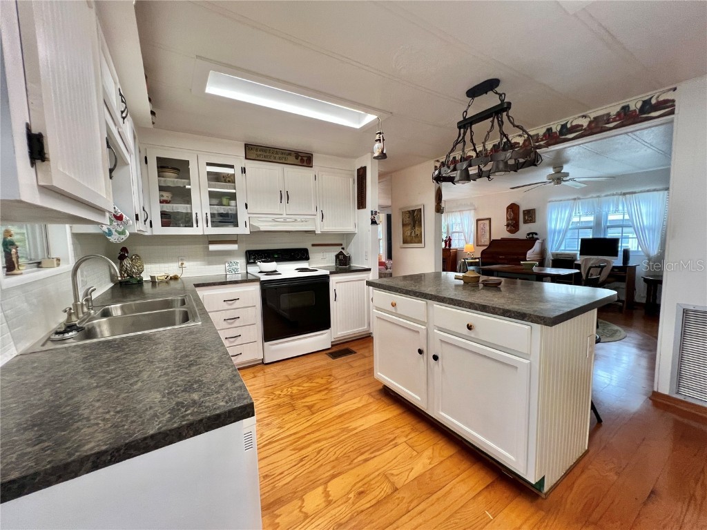 127 Royal Palm Drive Leesburg FL 34748 G5104261 image5