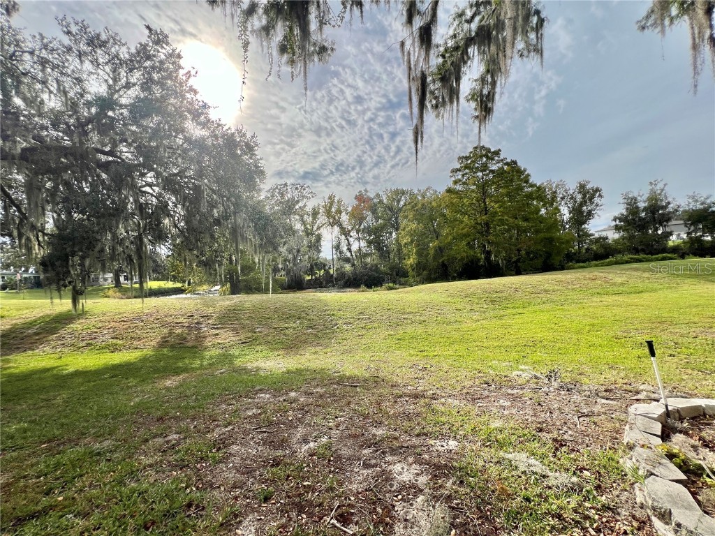 127 Royal Palm Drive Leesburg FL 34748 G5104261 image83