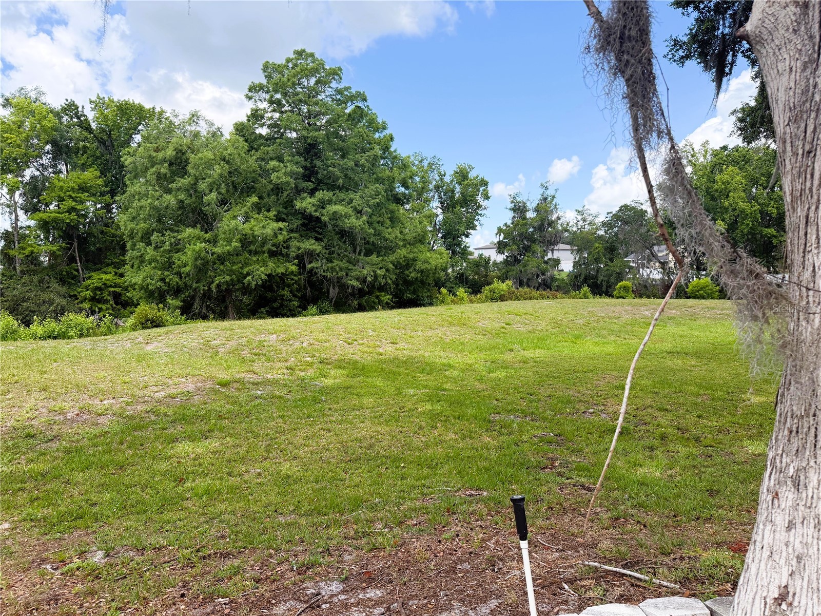 127 Royal Palm Drive Leesburg FL 34748 R4911299 image54