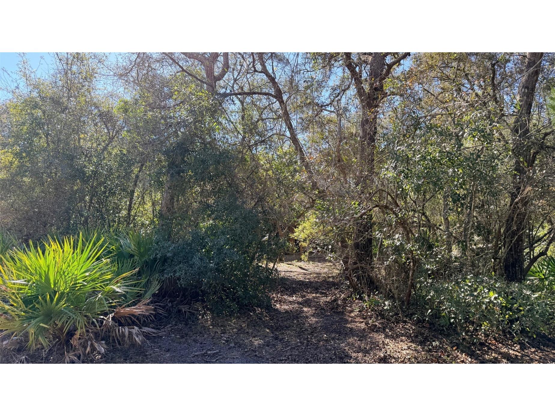 127 SE 930 Street Old Town FL 32680 GC536895 image54