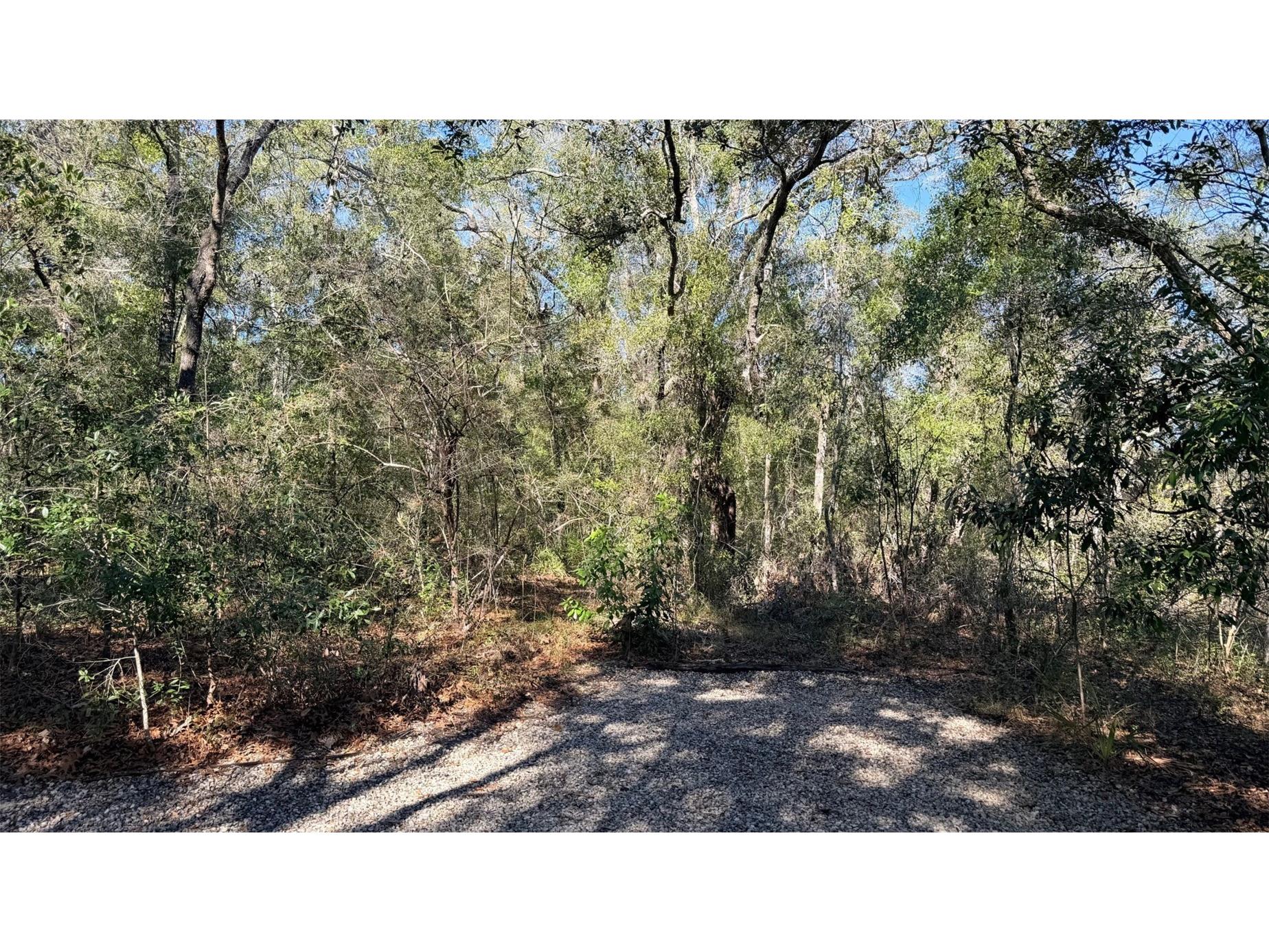 127 SE 930 Street Old Town FL 32680 GC536895 image55