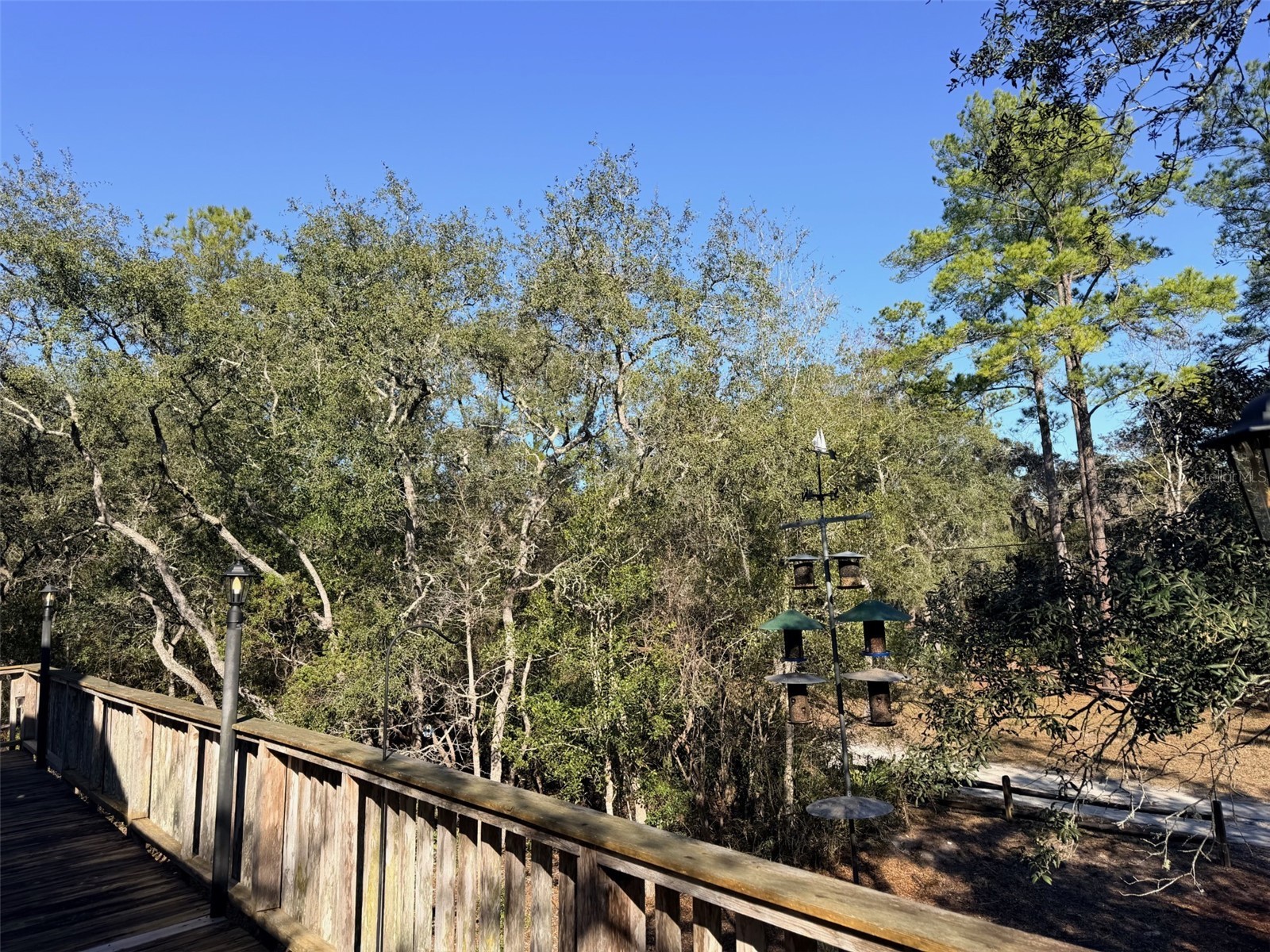 127 SE 930 Street Old Town FL 32680 GC536895 image66