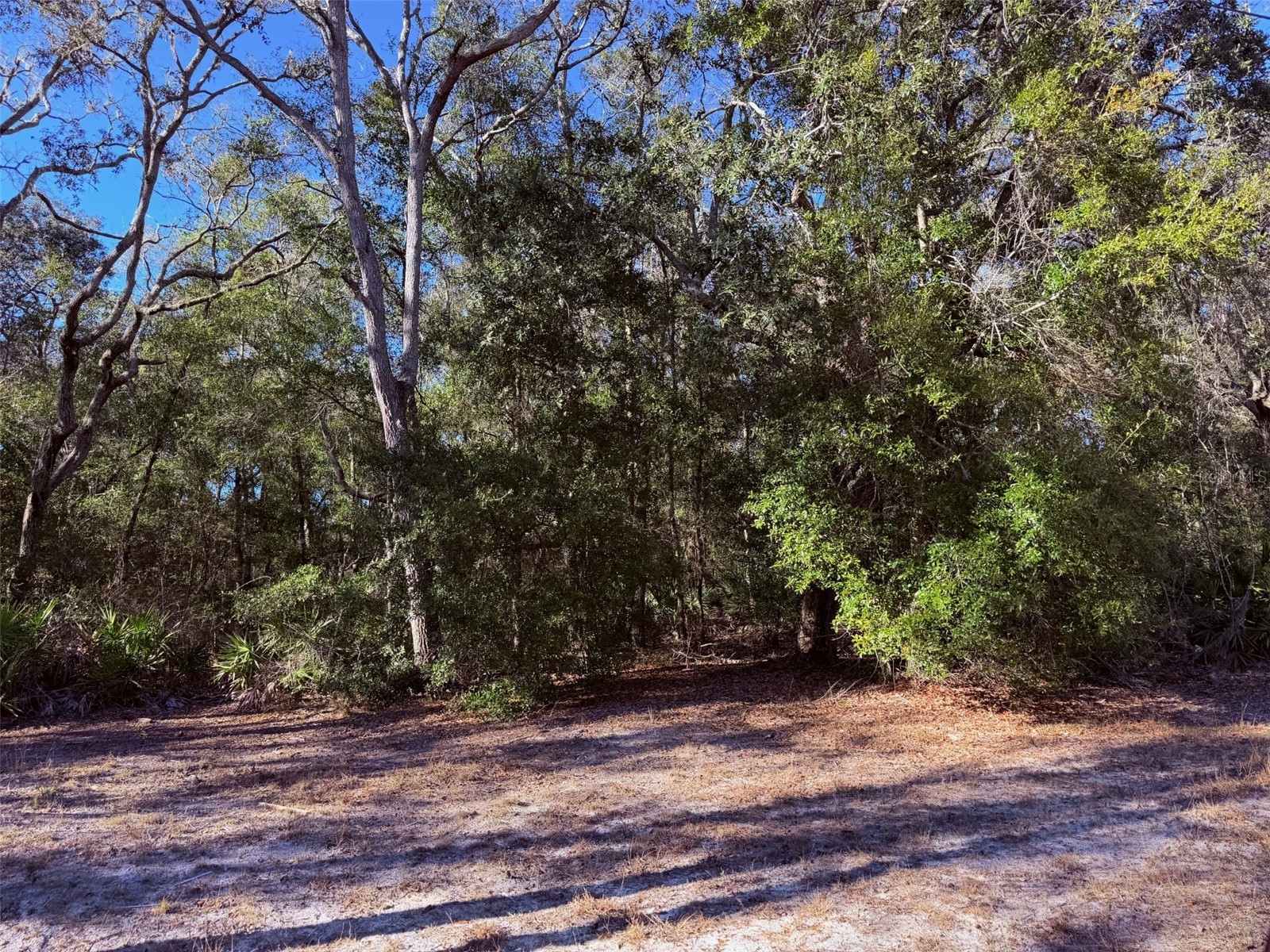 127 SE 930 Street Old Town FL 32680 GC536895 image68