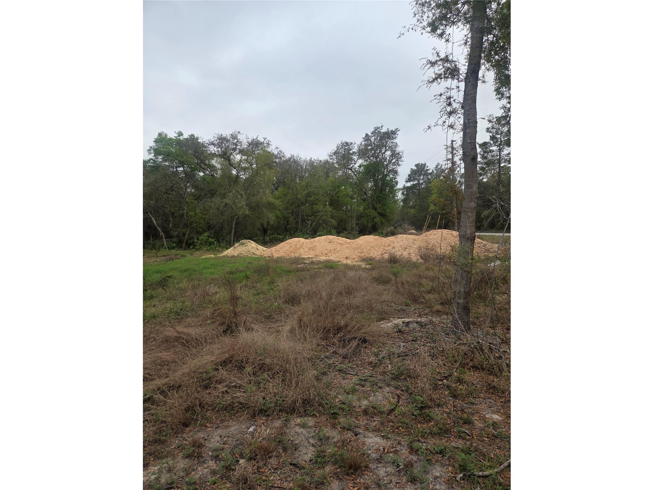 127 Sequoia Trail Ocklawaha FL 32179 G5110144 image1