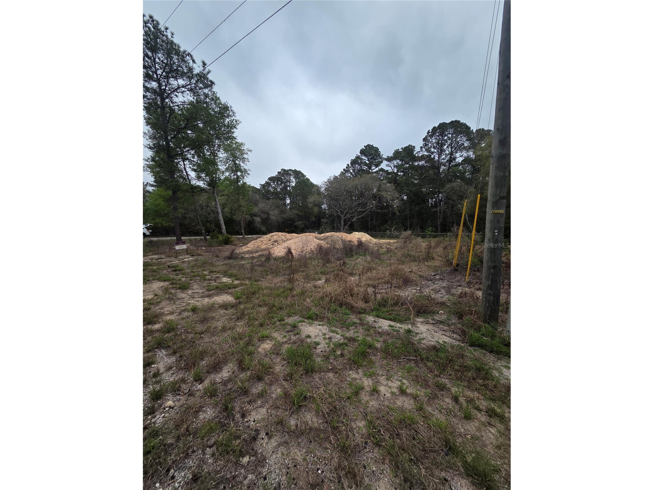 127 Sequoia Trail Ocklawaha FL 32179 G5110144 image2