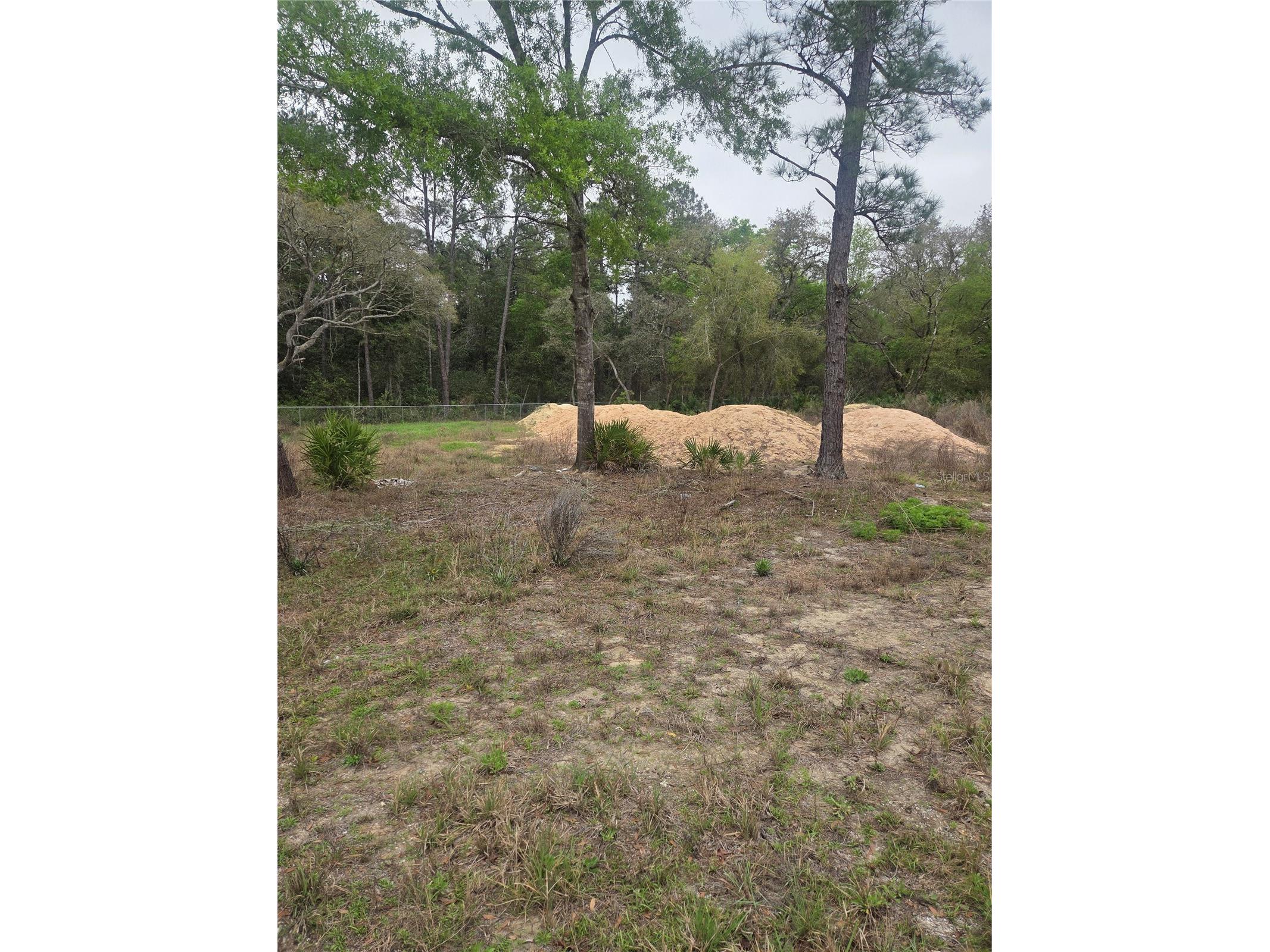 127 Sequoia Trail Ocklawaha FL 32179 G5110144 image3