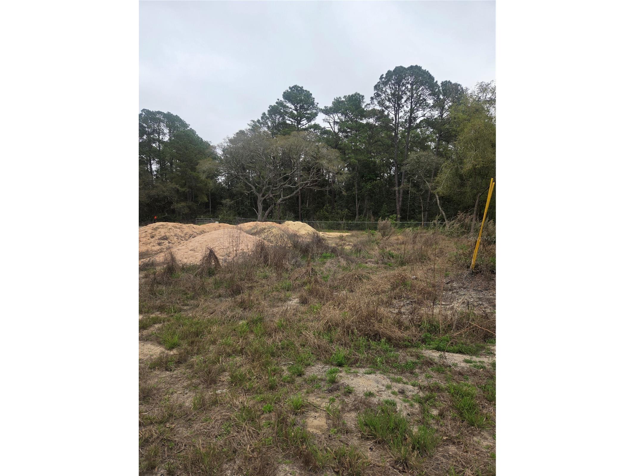 127 Sequoia Trail Ocklawaha FL 32179 G5110144 image4