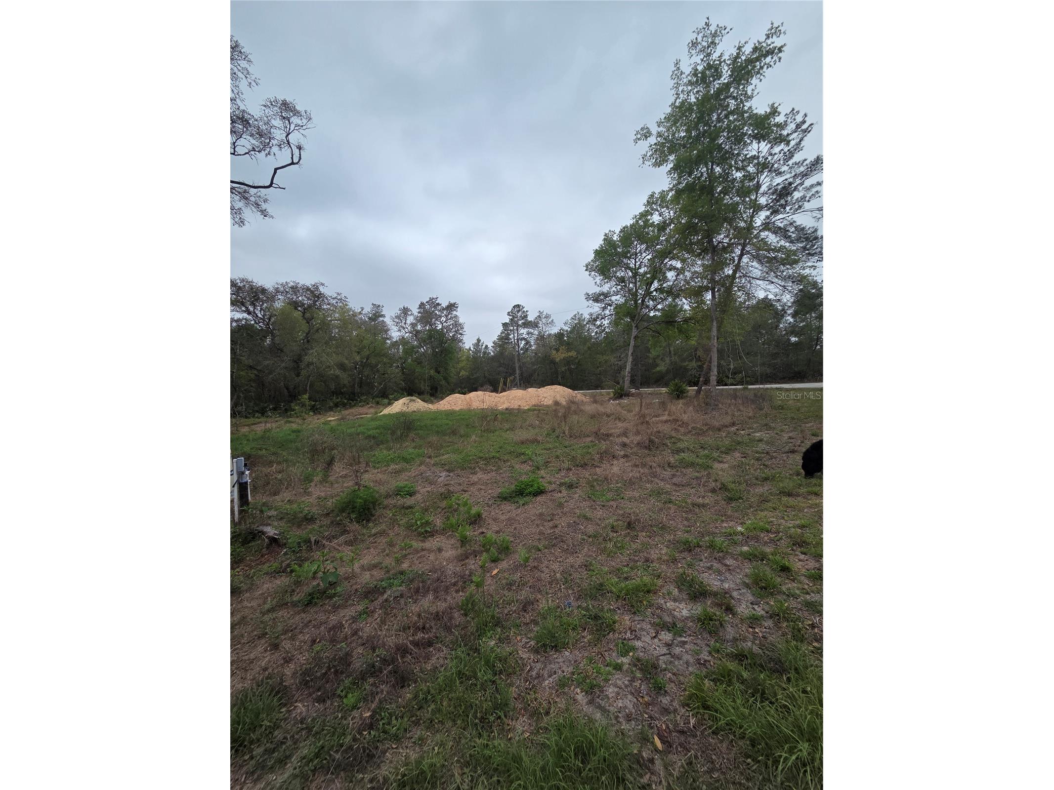 127 Sequoia Trail Ocklawaha FL 32179 G5110144 image5