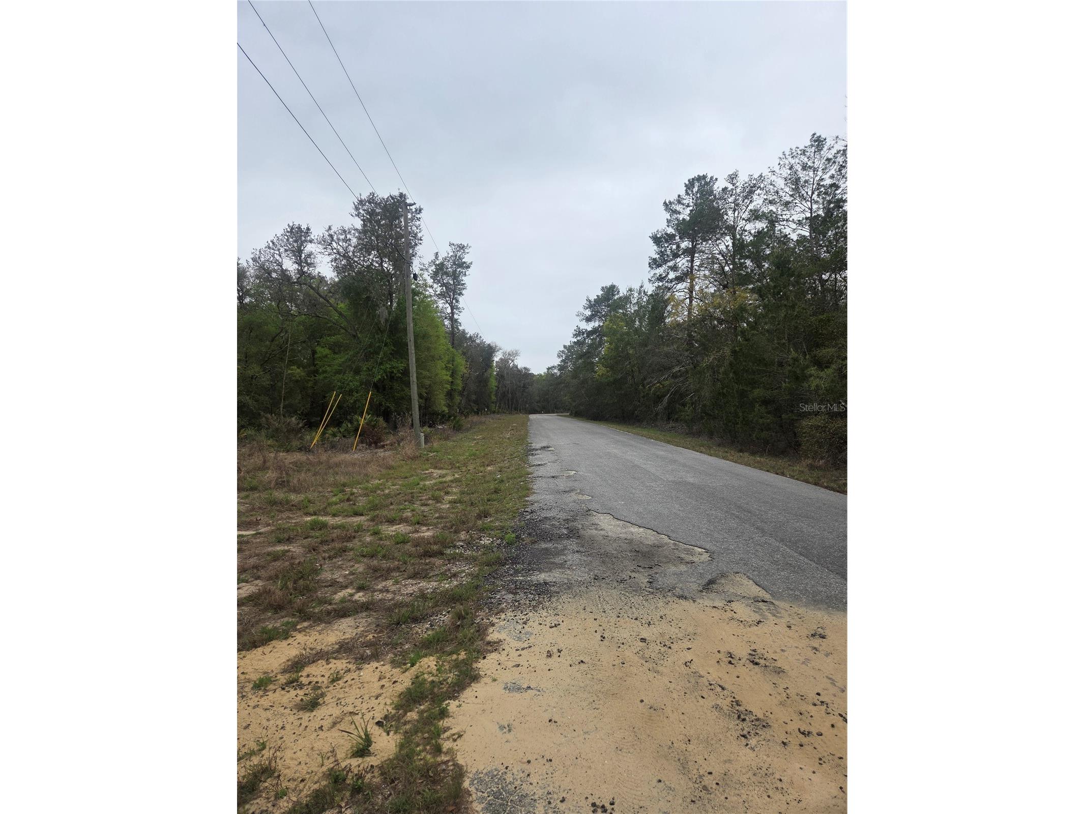 127 Sequoia Trail Ocklawaha FL 32179 G5110144 image6
