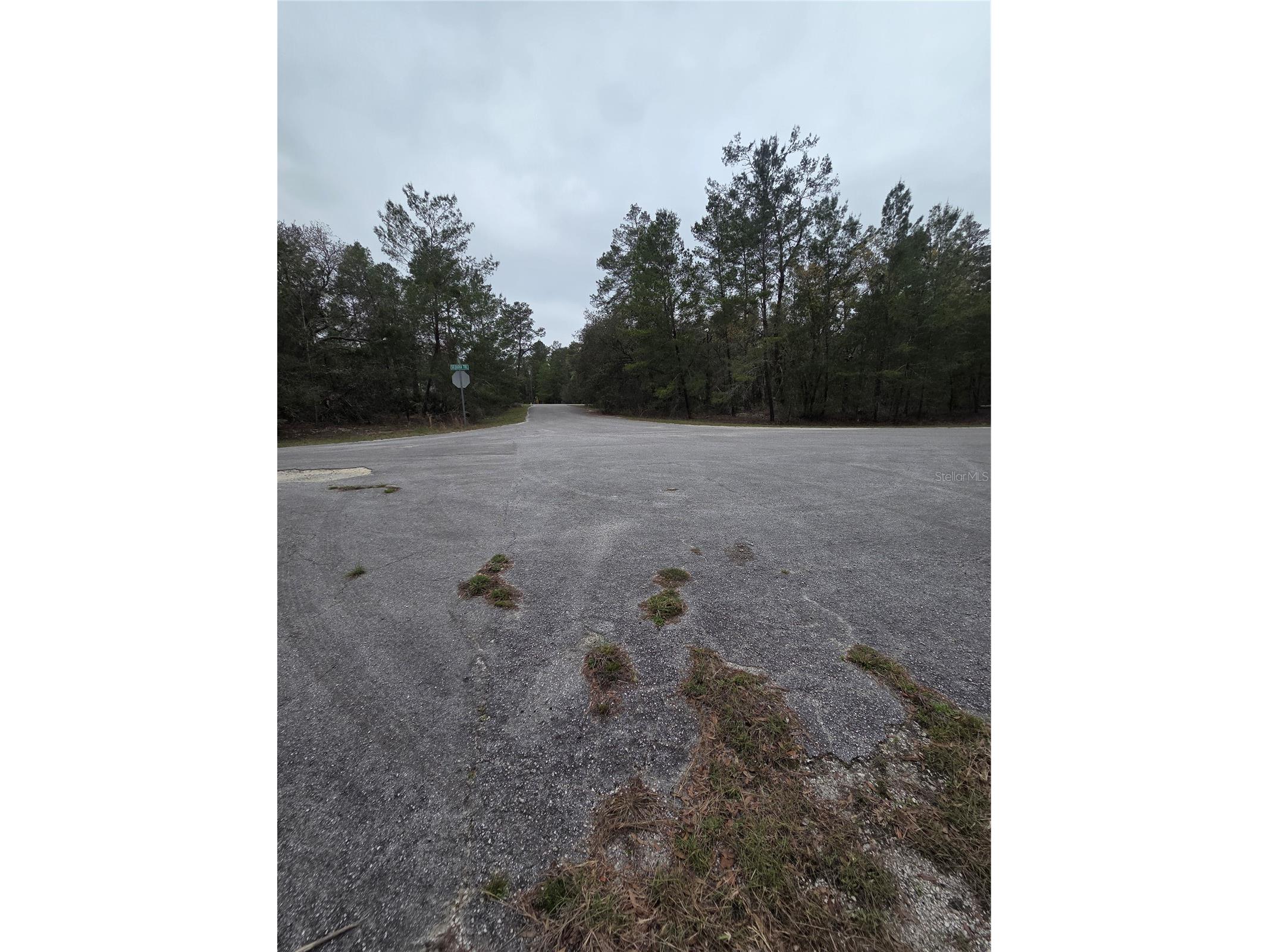 127 Sequoia Trail Ocklawaha FL 32179 G5110144 image7