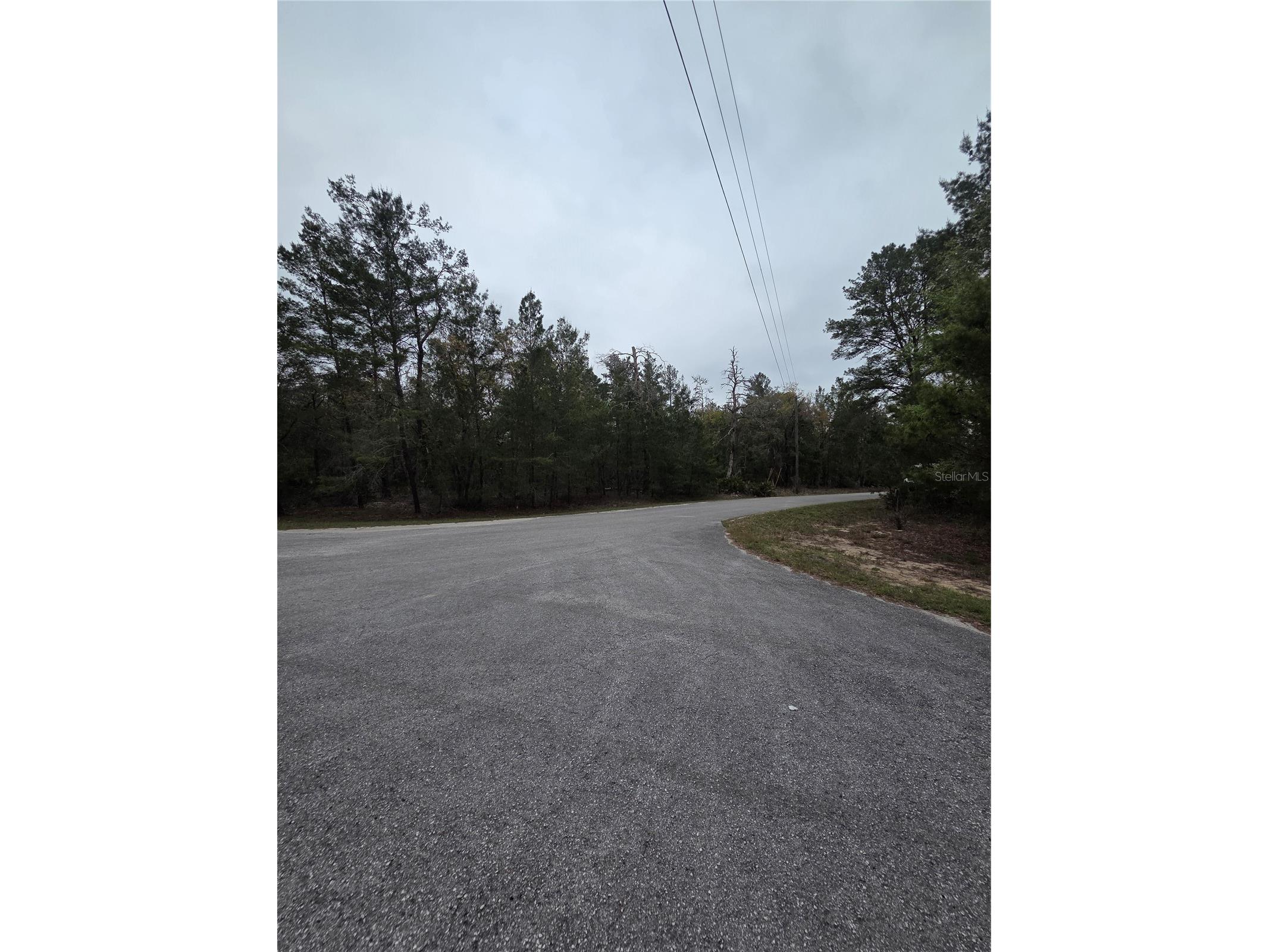 127 Sequoia Trail Ocklawaha FL 32179 G5110144 image8