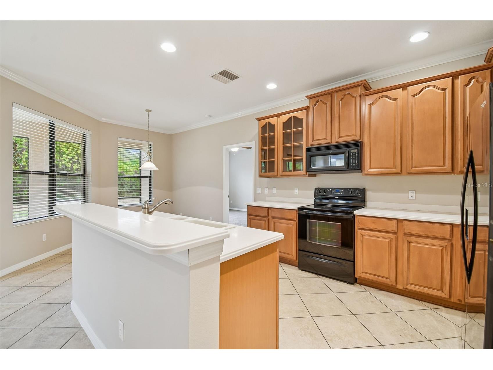 127 Silver Falls Drive Apollo Beach FL 33572 TB8470188 image22