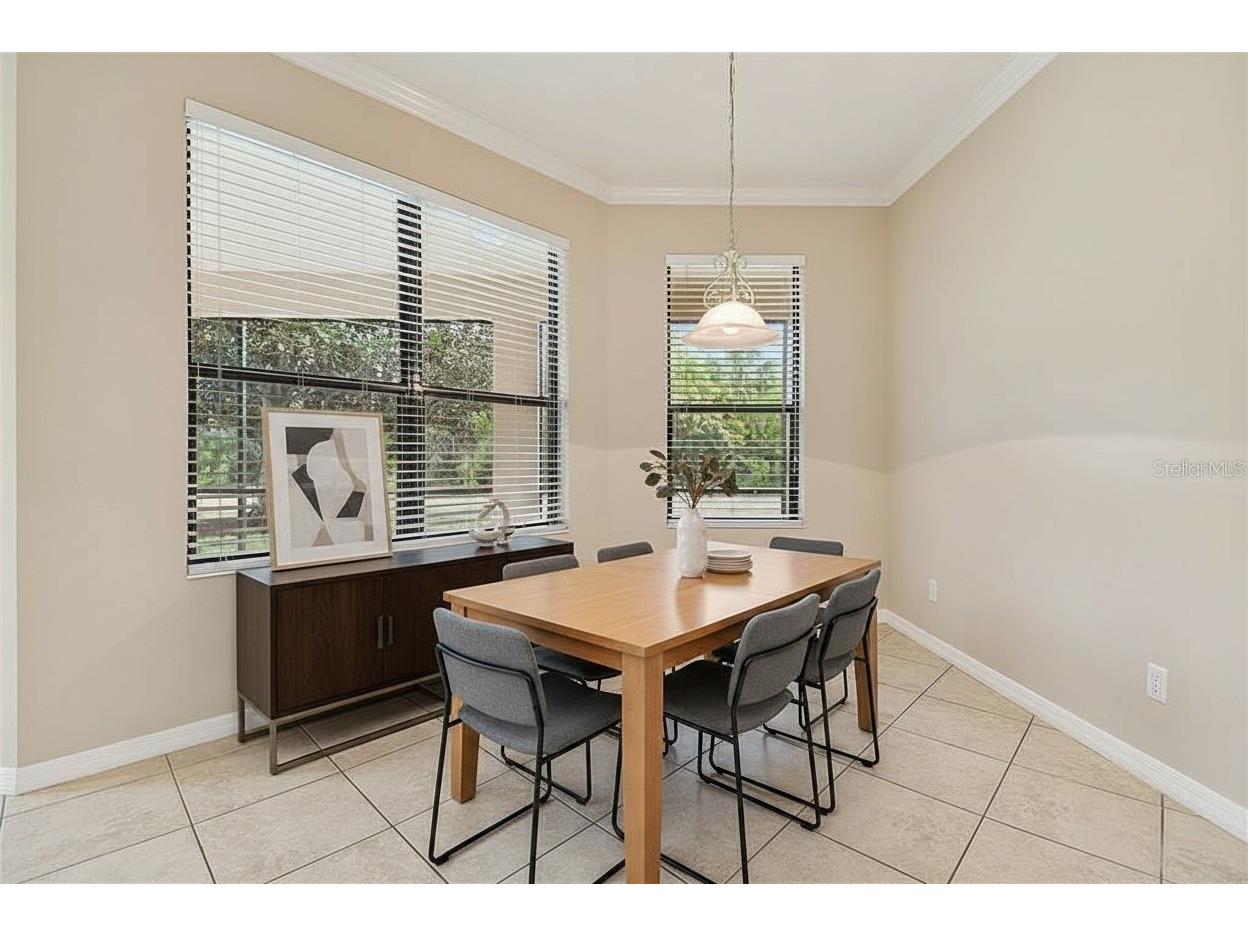 127 Silver Falls Drive Apollo Beach FL 33572 TB8470188 image31
