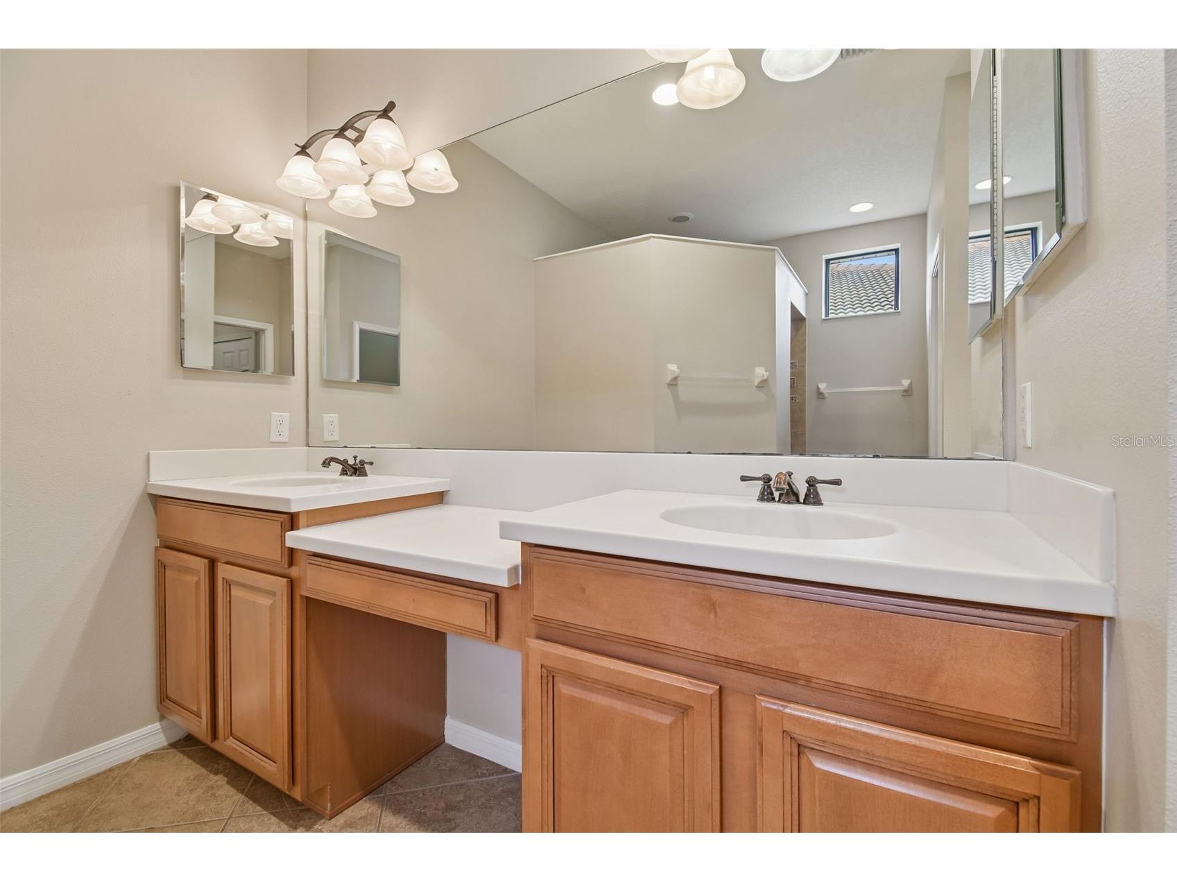 127 Silver Falls Drive Apollo Beach FL 33572 TB8470188 image36