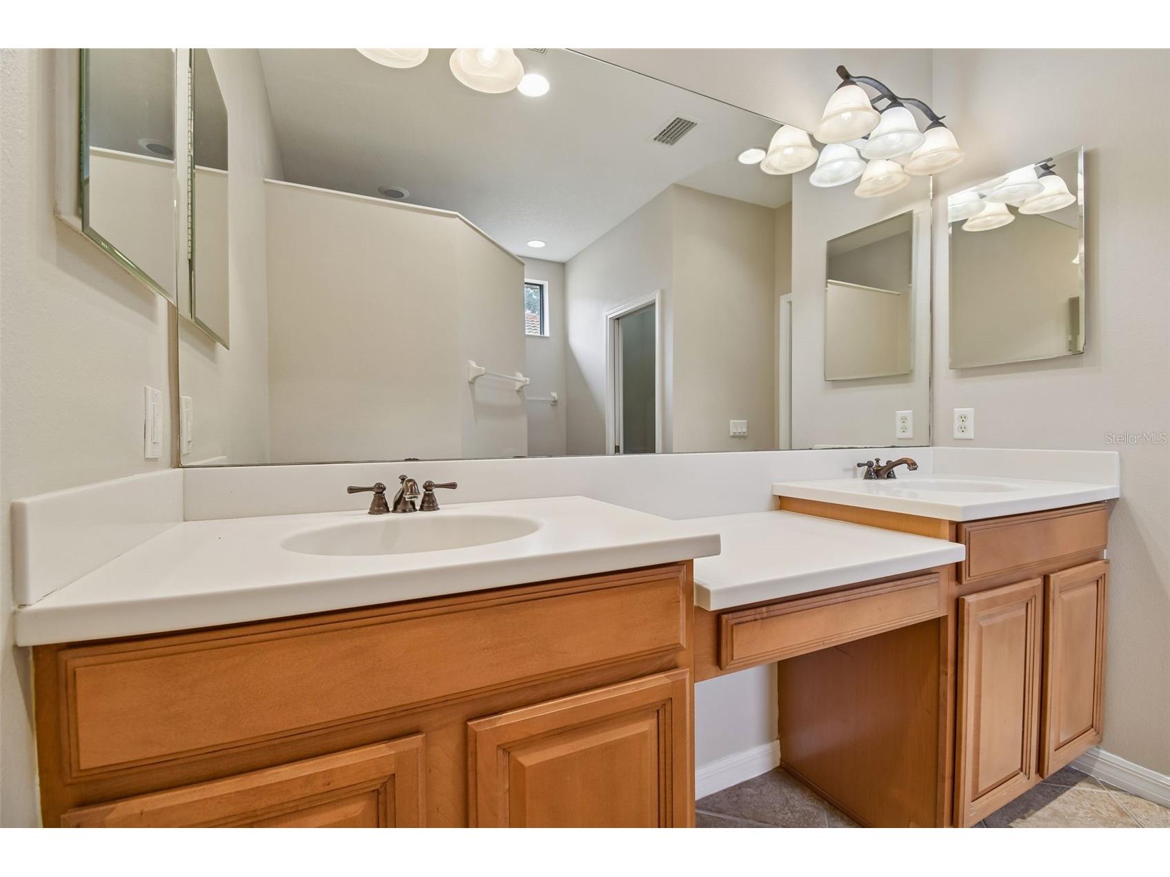 127 Silver Falls Drive Apollo Beach FL 33572 TB8470188 image37