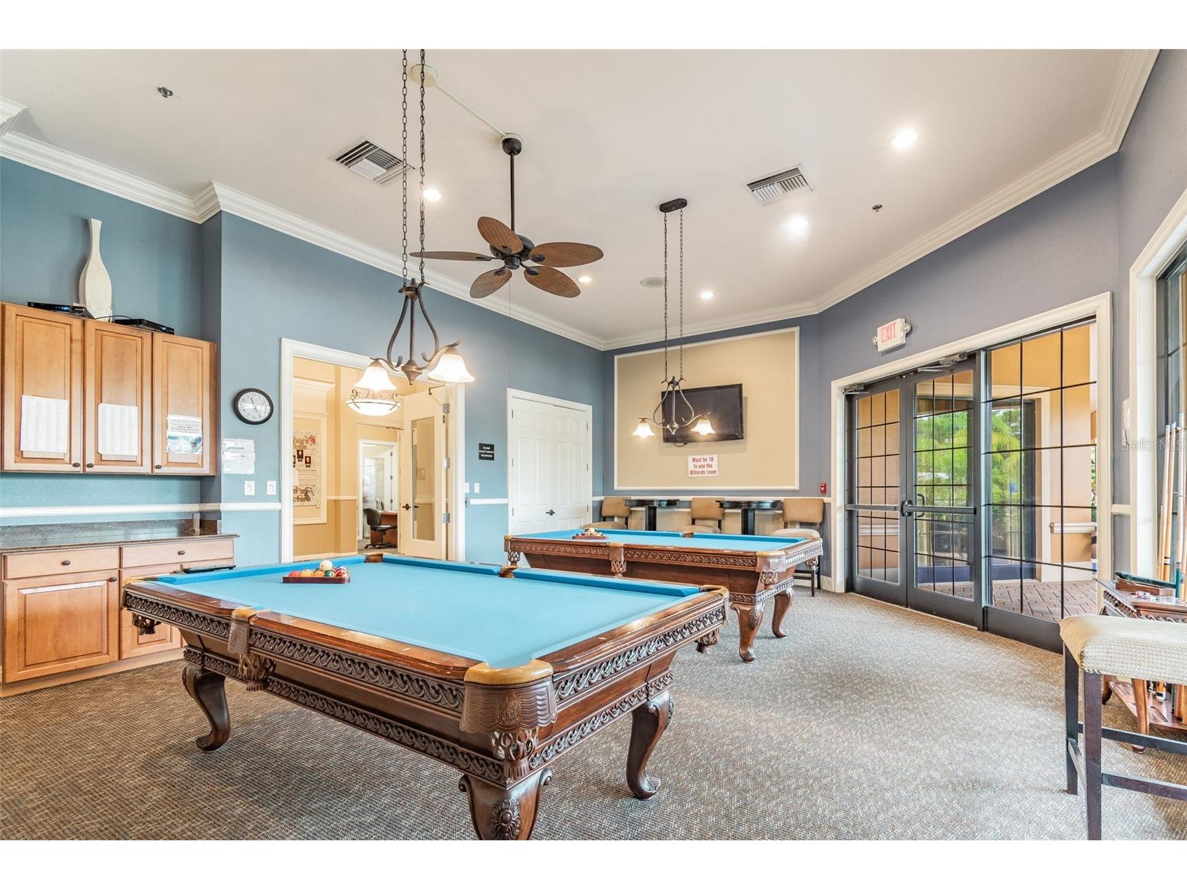 127 Silver Falls Drive Apollo Beach FL 33572 TB8470188 image61