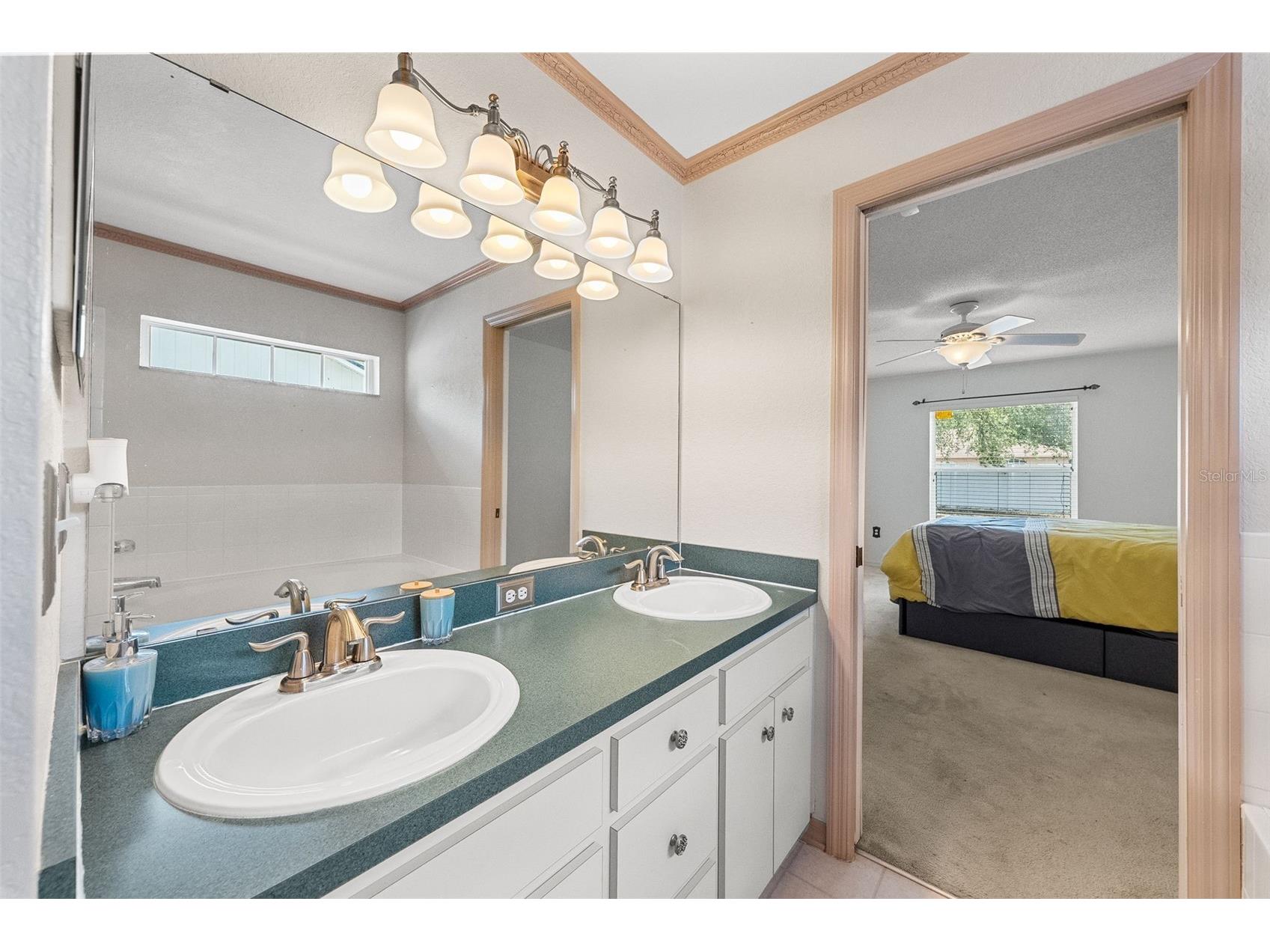 127 Winston Manor Circle Seffner FL 33584 TB8509623 image19