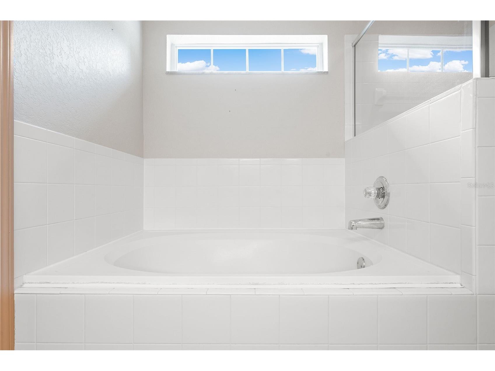 127 Winston Manor Circle Seffner FL 33584 TB8509623 image20