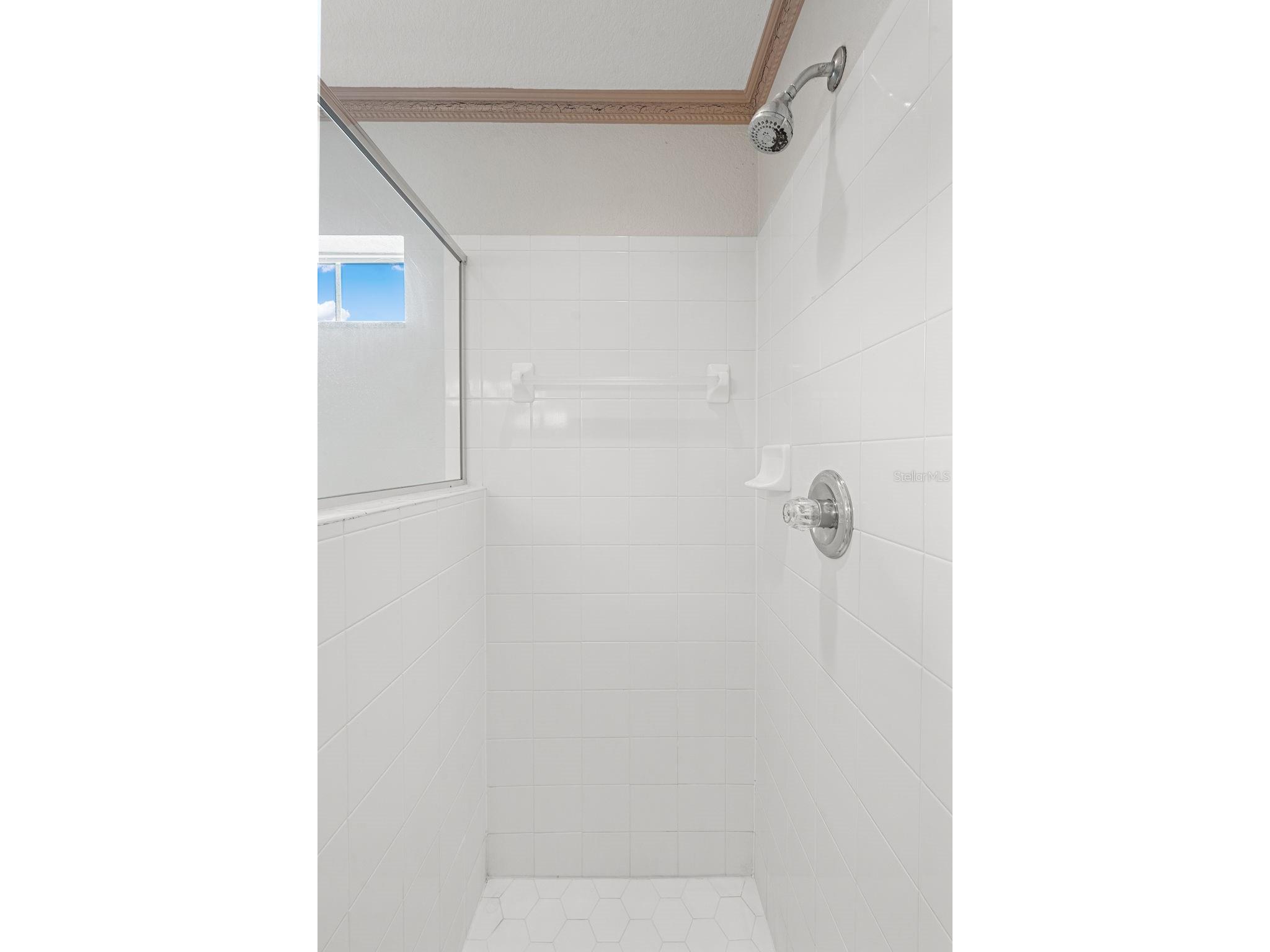 127 Winston Manor Circle Seffner FL 33584 TB8509623 image21