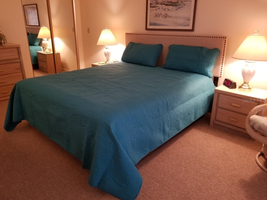 1270 Gulf Boulevard #302 Clearwater Beach FL 33767 TB8436878 image18