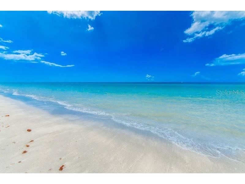 1270 Gulf Boulevard #304 Clearwater FL 33767 TB8342053 image2