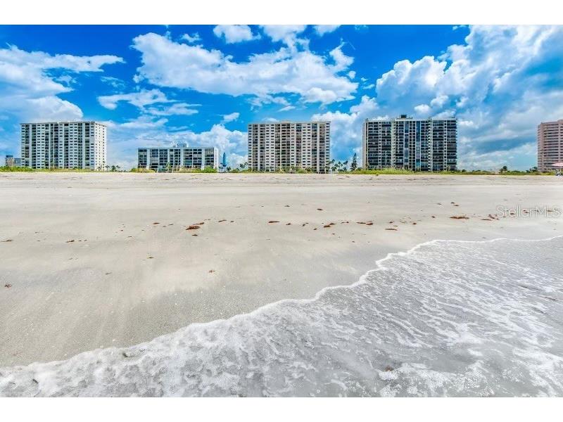 1270 Gulf Boulevard #304 Clearwater FL 33767 TB8342053 image3