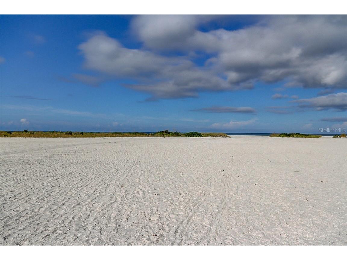 1270 Gulf Boulevard #304 Clearwater FL 33767 TB8342053 image37