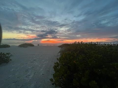 1270 Gulf Boulevard #603 Clearwater FL 33767 - GULF OF MEXICO U8213403 image64