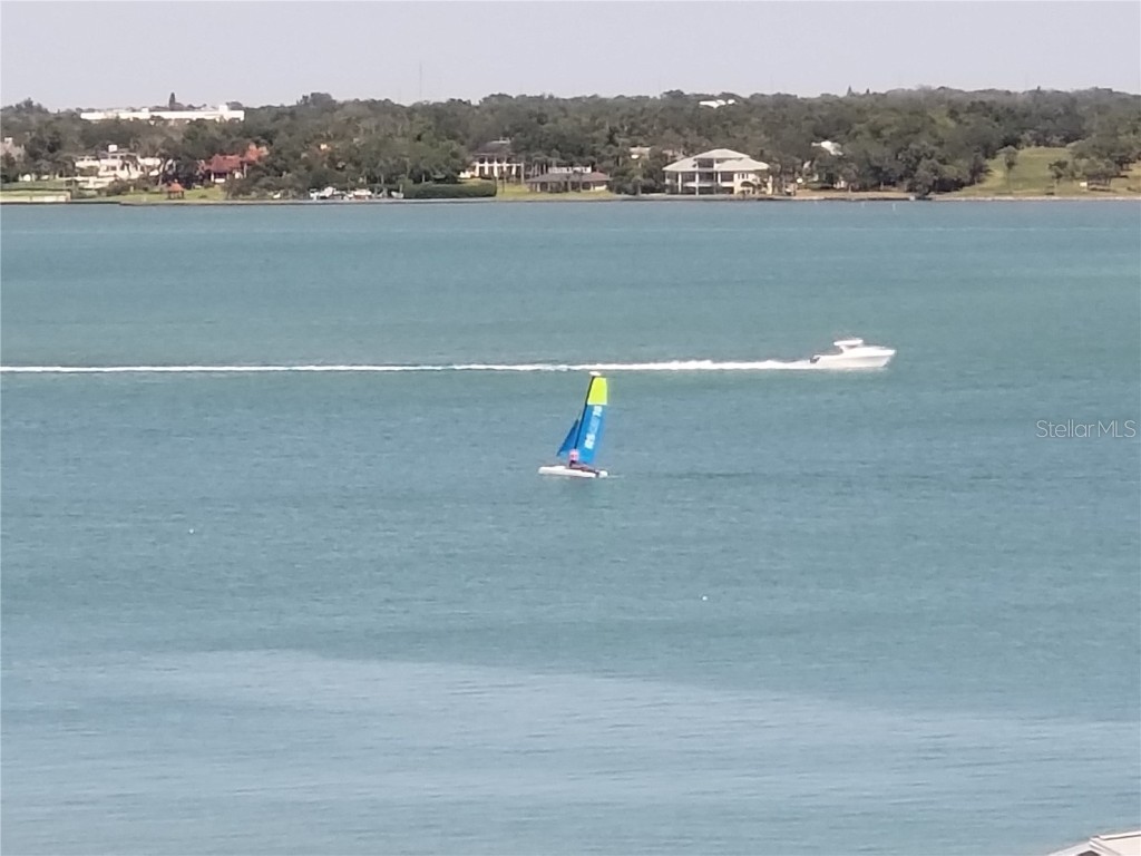 1270 Gulf Boulevard #708 Clearwater FL 33767 - GULF OF MEXICO U8175622 image46