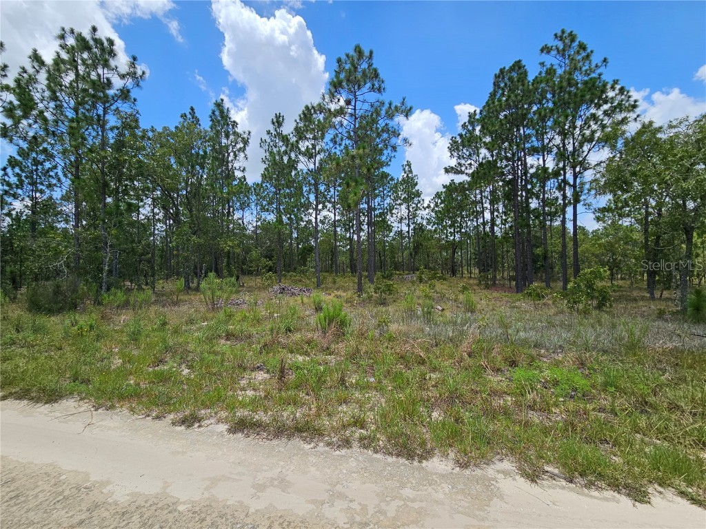 1270 NE 151st Avenue Williston FL 32696 OM706062 image8