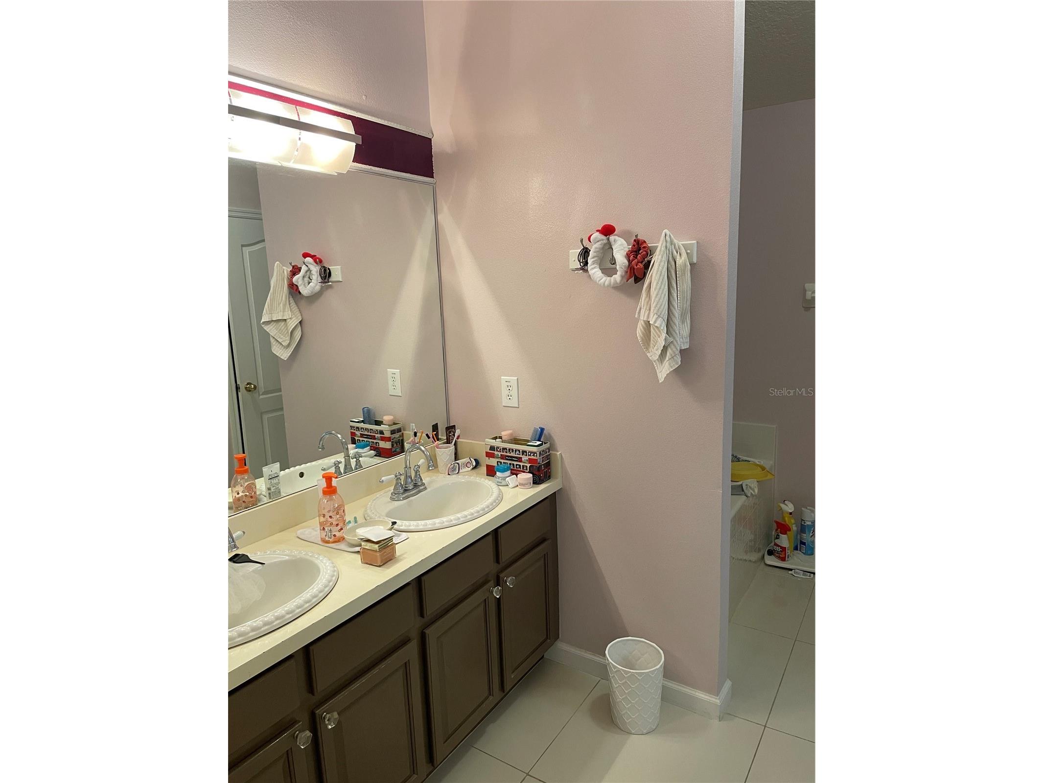1270 Stationside Drive Drive Oakland FL 34787 O6376429 image18
