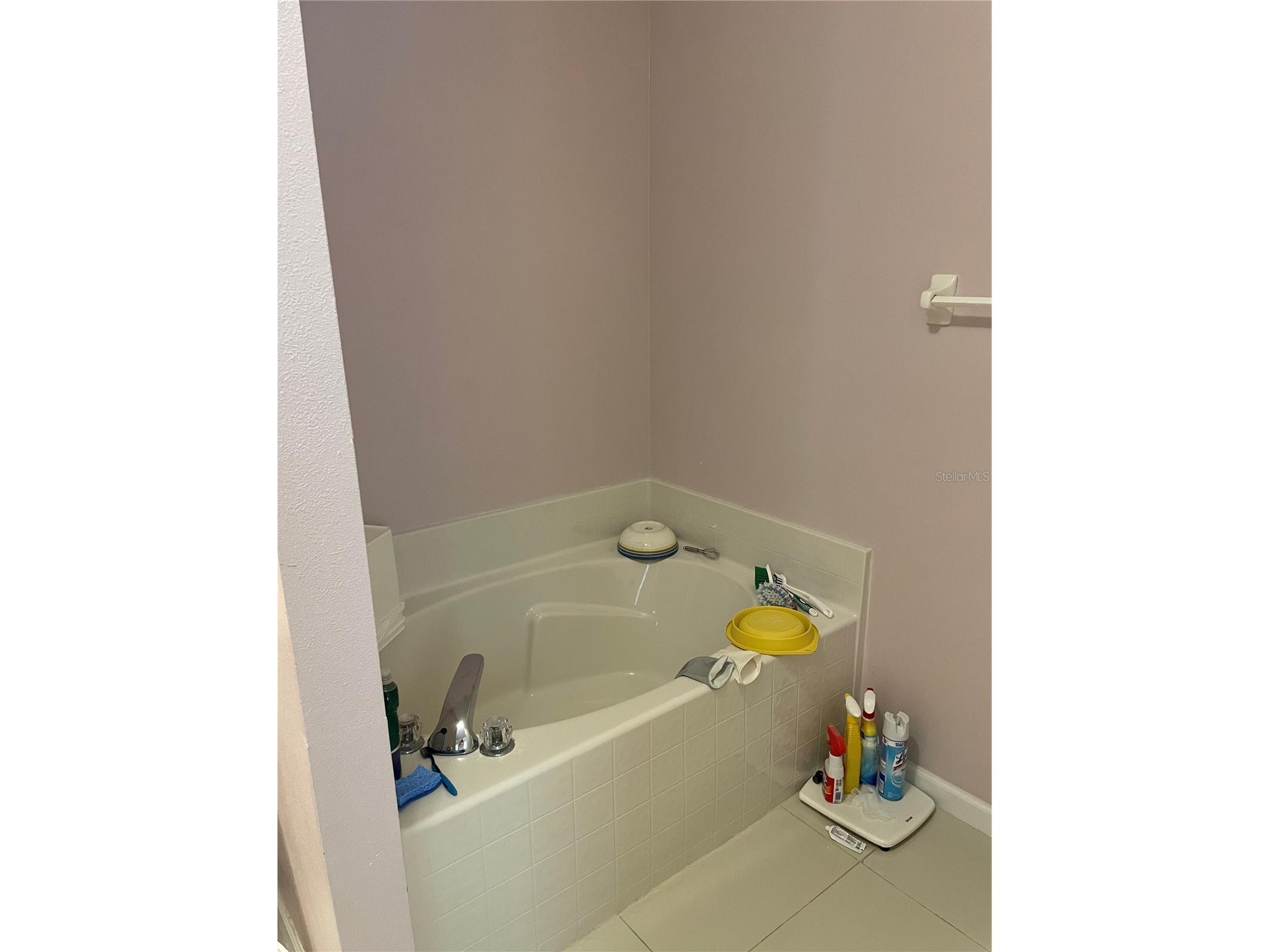 1270 Stationside Drive Drive Oakland FL 34787 O6376429 image19