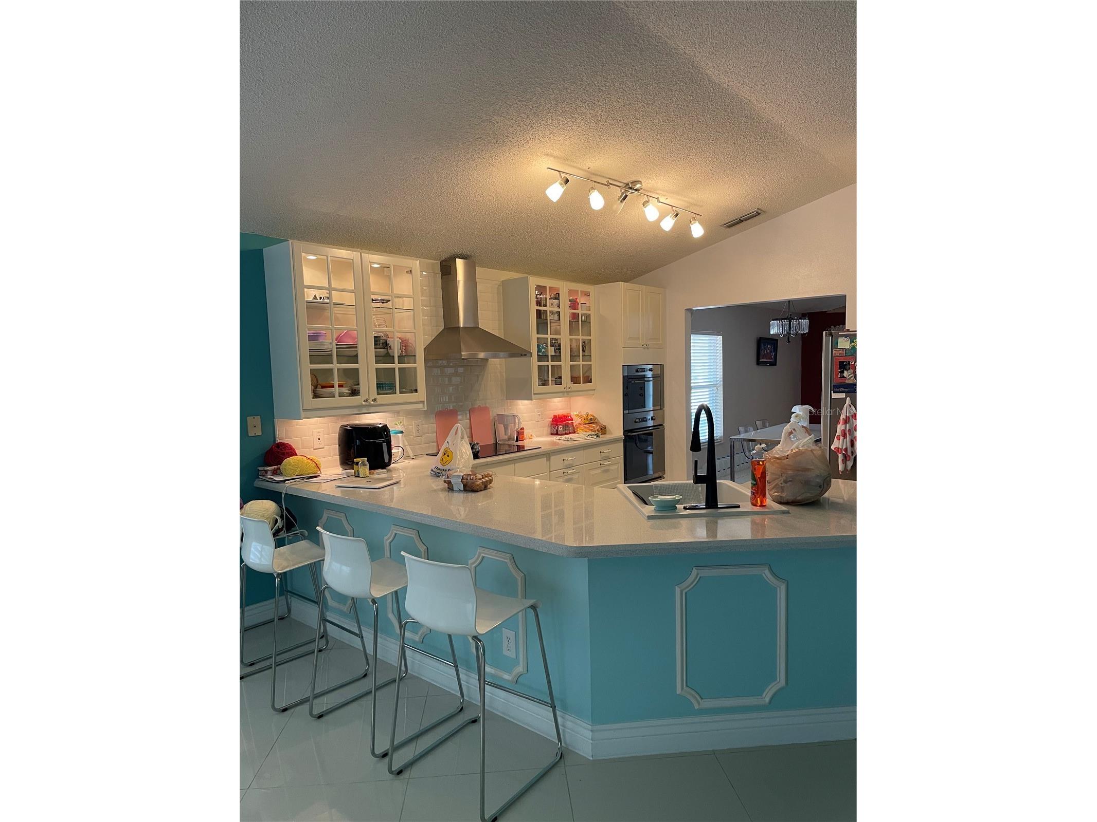 1270 Stationside Drive Drive Oakland FL 34787 O6376429 image7