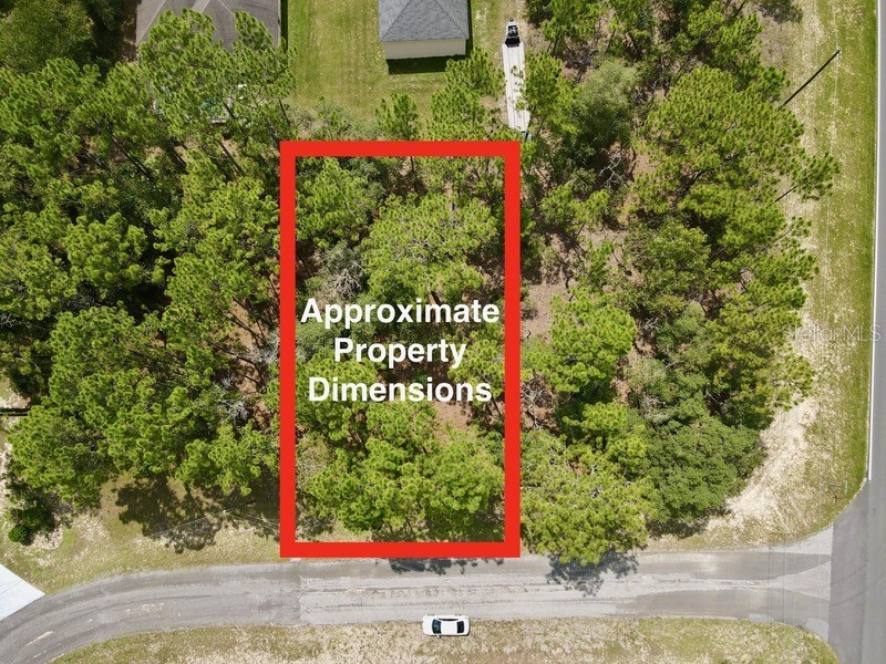 1270 W Hemlock Drive Citrus Springs FL 34434 W7857022 image1